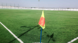 stade-eddis